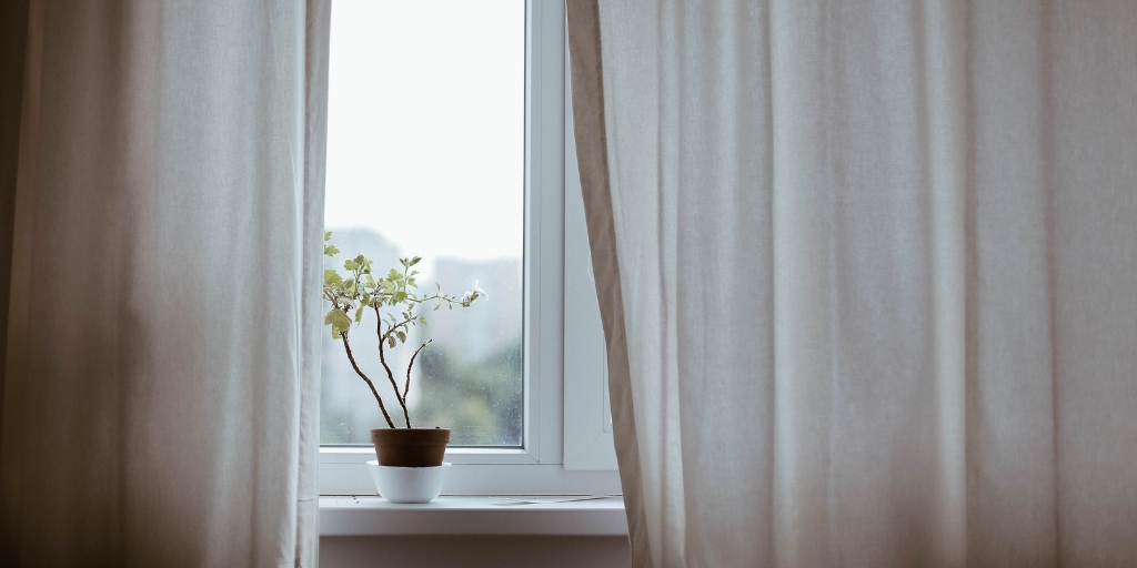 Are landlords responsible for mould